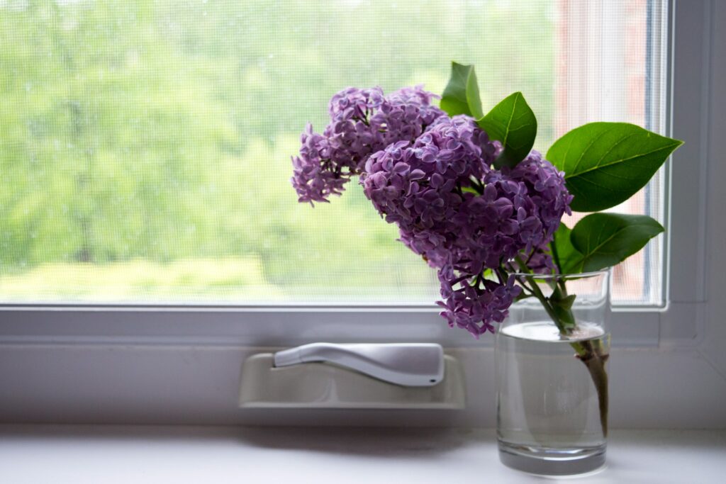 Fensterbank