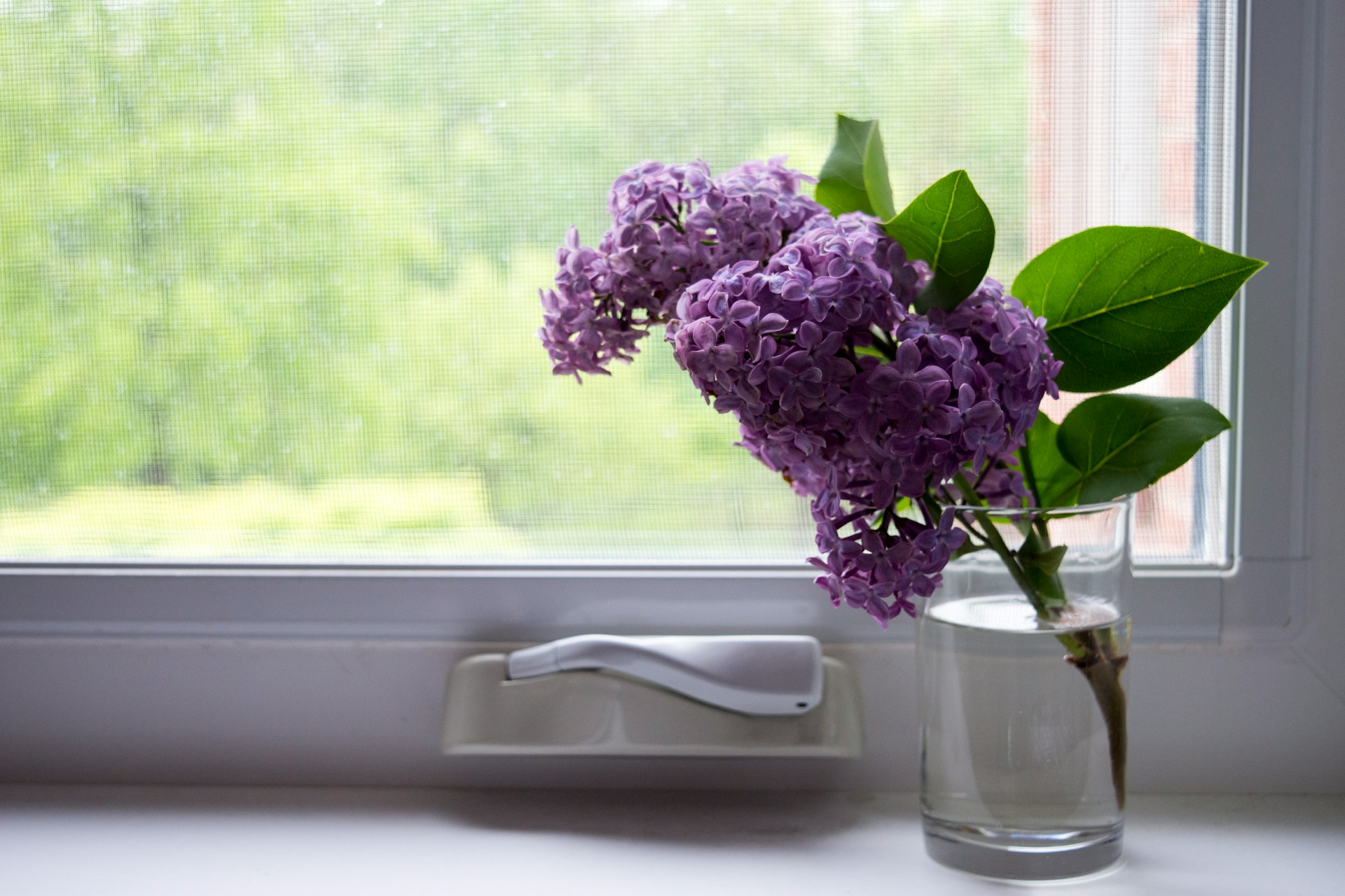 Fensterbank